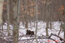 DEER CAMP 2007 041.jpg